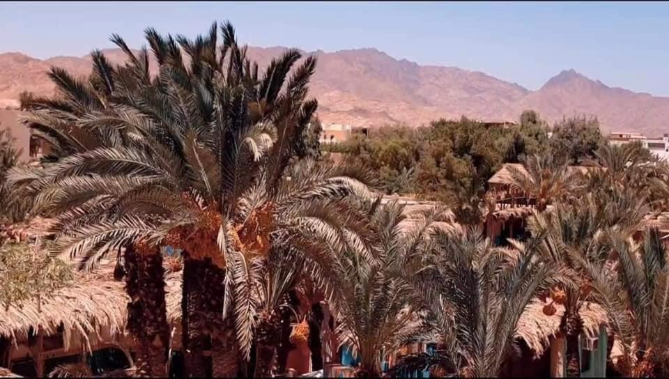 A5Ena House Villa Dahab Exterior foto